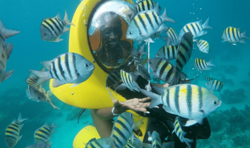 Scuba Doo Excursion