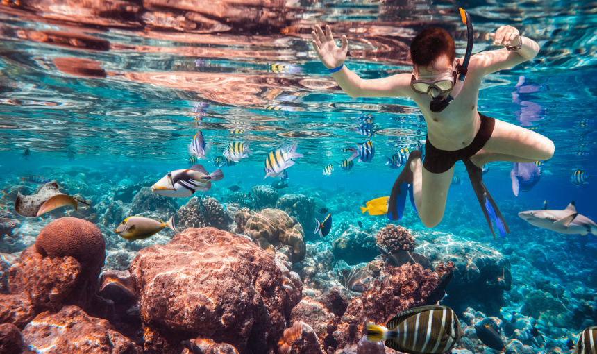 Snorkeling in Punta Cana